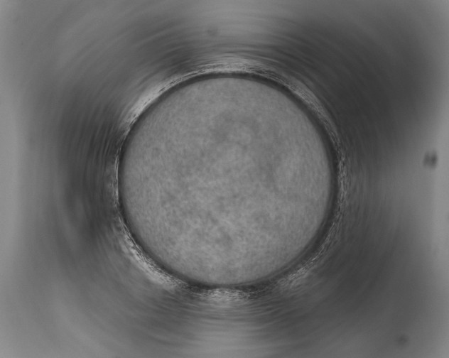 X0000115070842200911171128