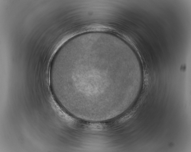 X0000115070843200911171128