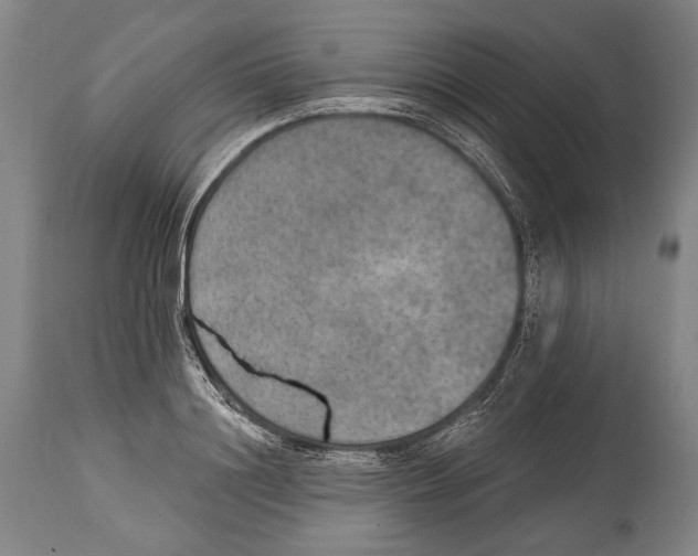 X0000115070844200911171128