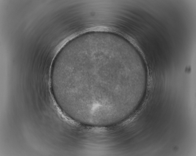 X0000115070845200911171128