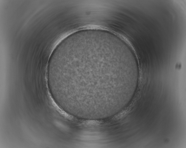X0000115070847200911171129