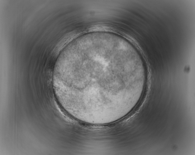 X0000115070849200911171129