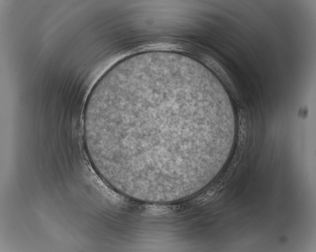 X0000115070852200911171129