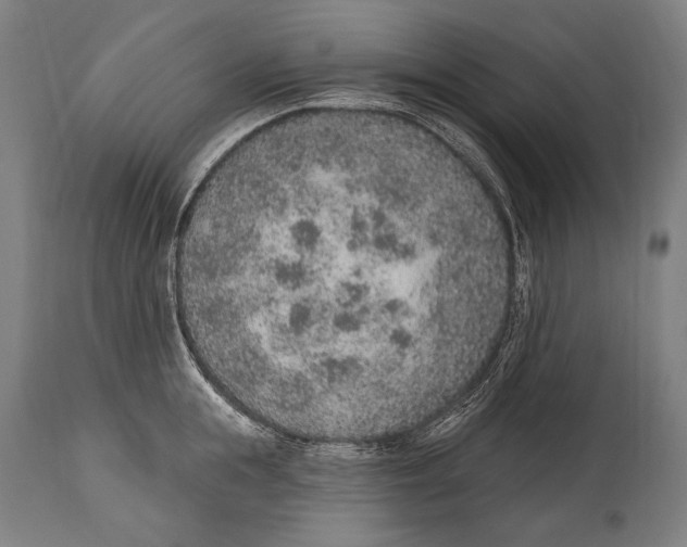 X0000115070855200911171129