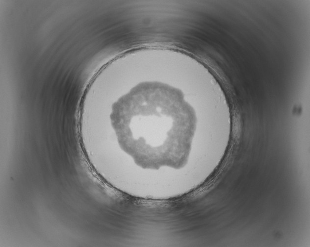 X0000115070856200911171129