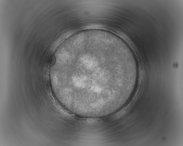 X0000115070857200911171129