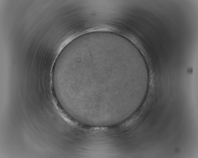 X0000115070858200911171129