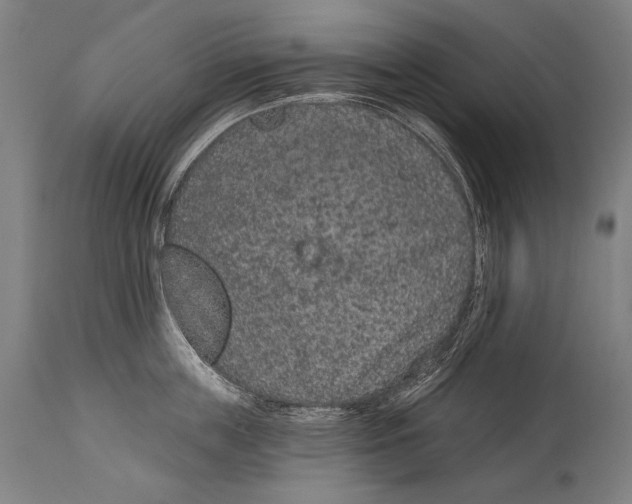 X0000115070859200911171129