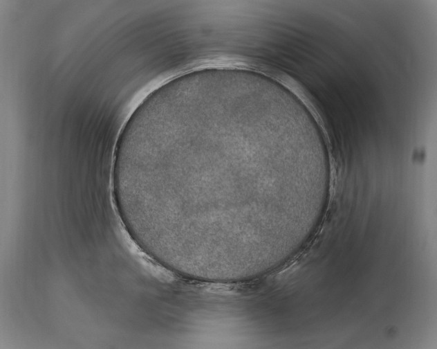 X0000115070861200911171129