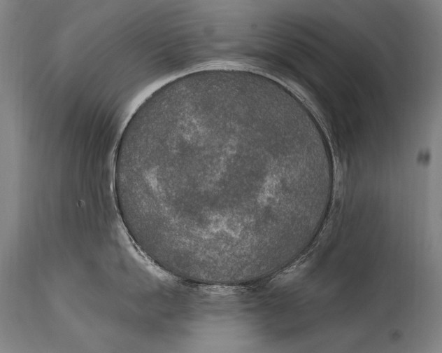X0000115070862200911171129