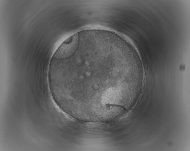 X0000115070863200911171129