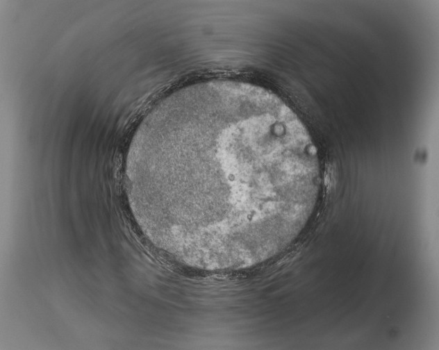 X0000115070867200911171128