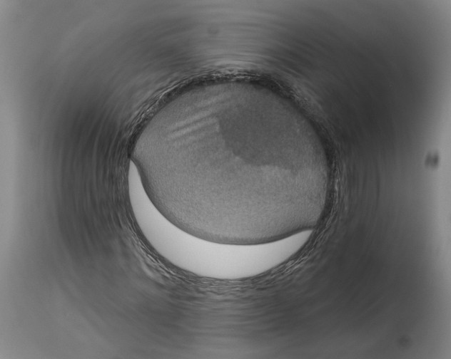 X0000115070868200911171128