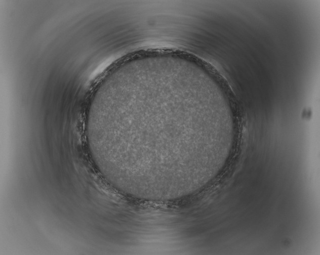 X0000115070871200911171128