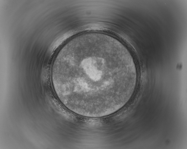 X0000115070874200911171128