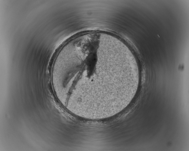 X0000115070876200911171128