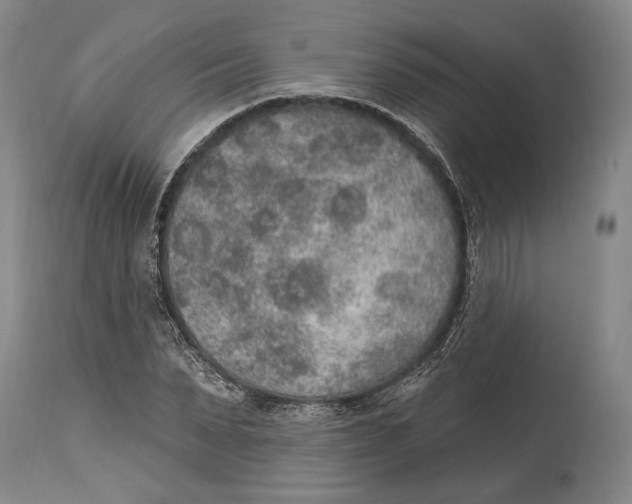 X0000115070879200911171128