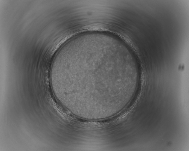 X0000115070881200911171128