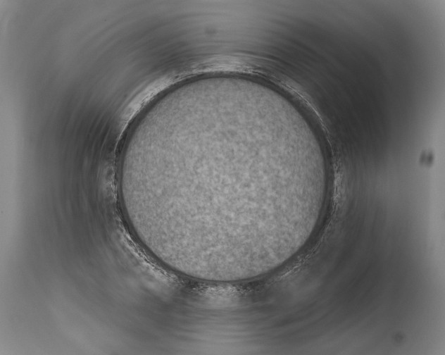 X0000115070882200911171128