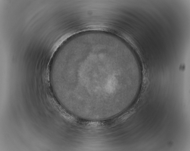 X0000115070883200911171128