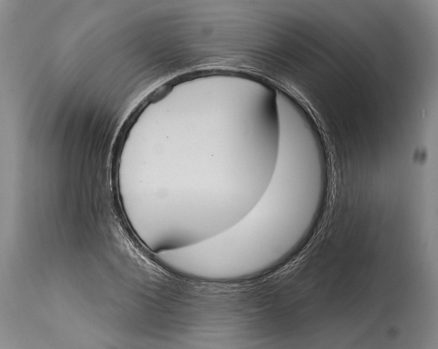 X0000115070884200911171128