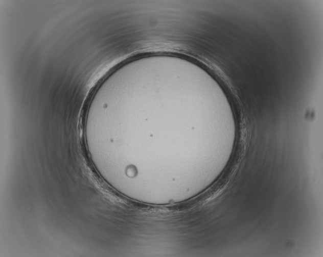 X0000115070885200911171128