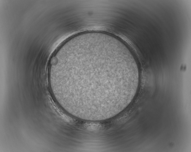 X0000115070886200911171128