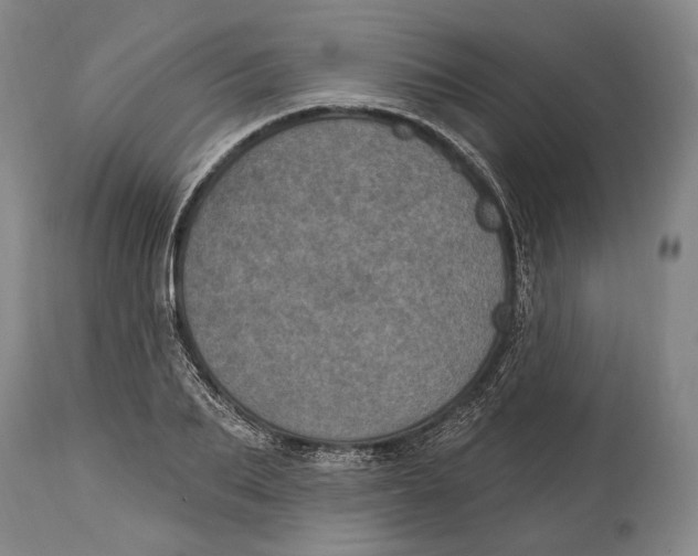 X0000115070887200911171128