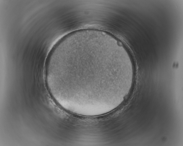 X0000115070888200911171128