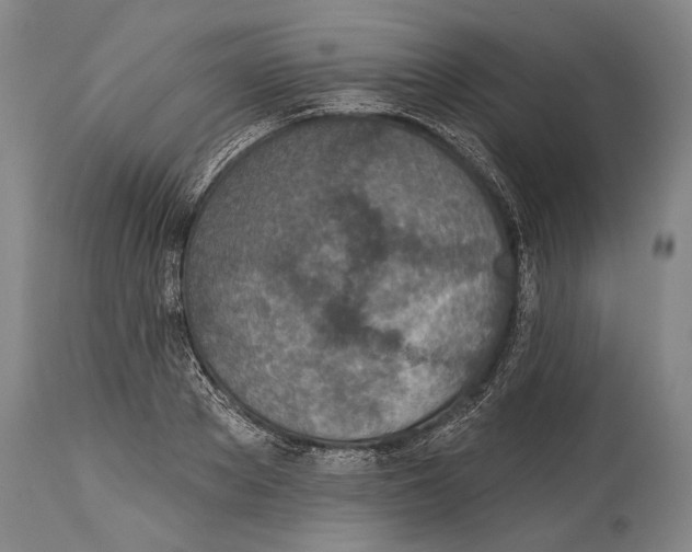X0000115070889200911171128