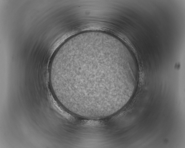 X0000115070890200911171128
