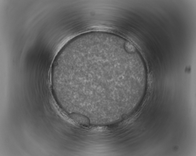 X0000115070891200911171128