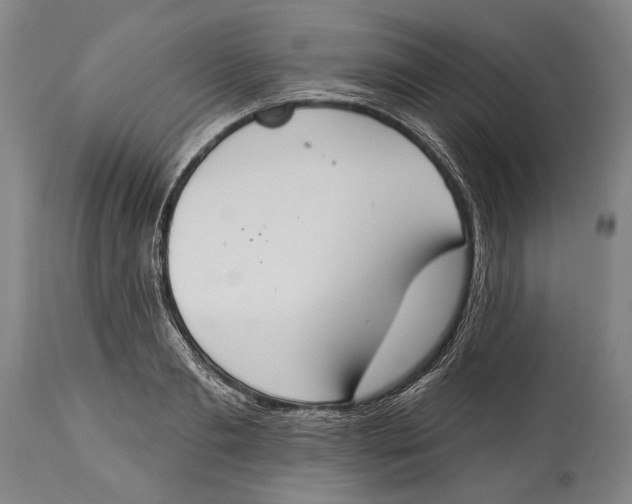 X0000115070893200911171128