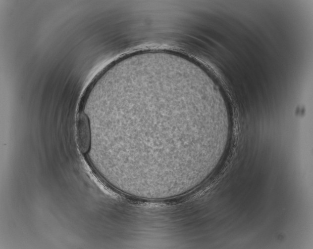 X0000115070894200911171128
