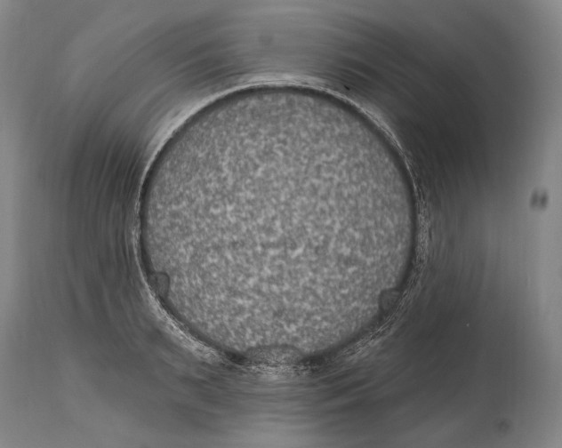 X0000115070895200911171127