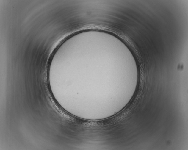 X0000115070896200911171127