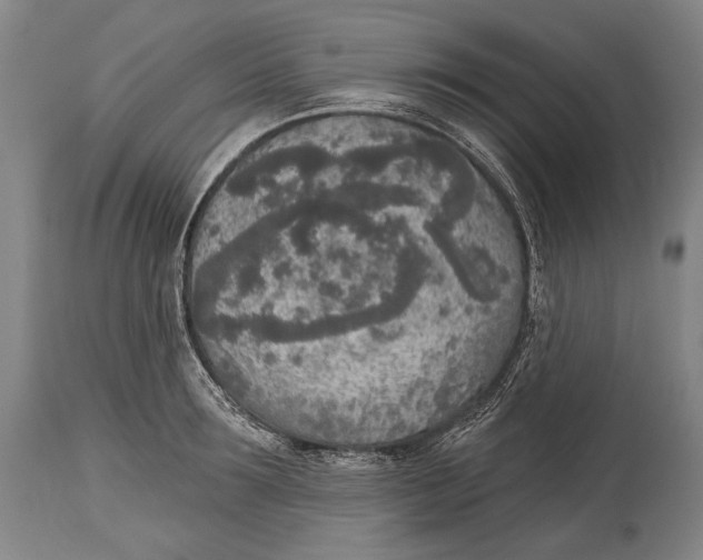 X0000115070899200911171127