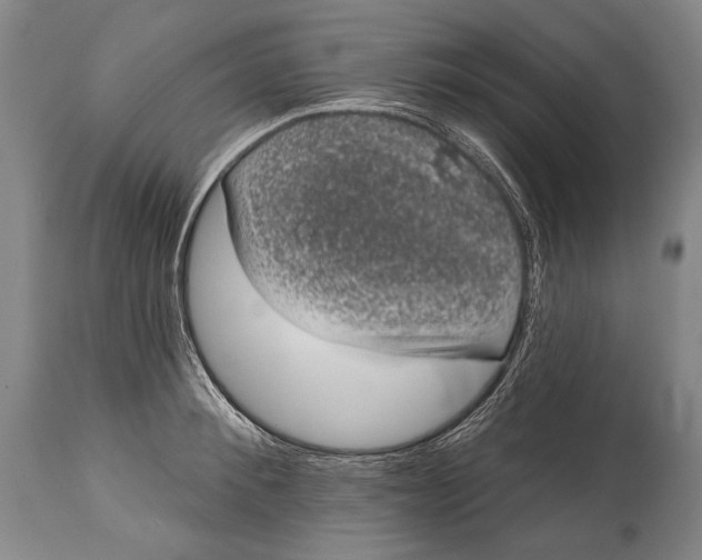 X0000115070900200911171127