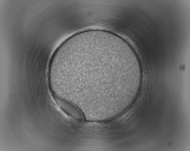 X0000115070902200911171127