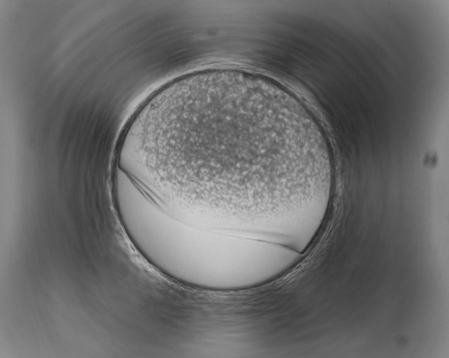 X0000115070904200911171127