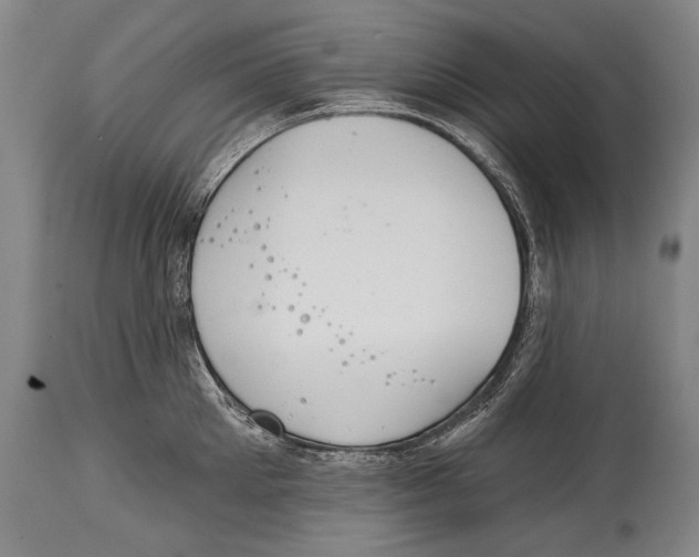X0000115070905200911171127