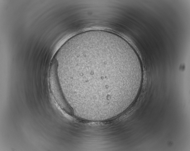 X0000115070906200911171127