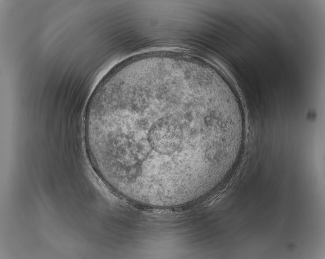 X0000115070907200911171127