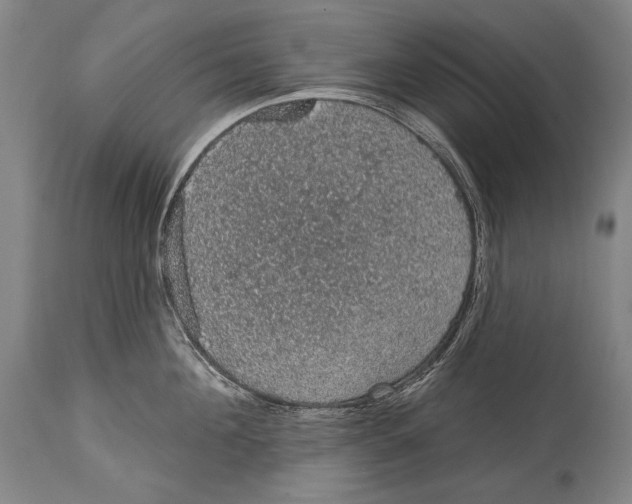 X0000115070908200911171127