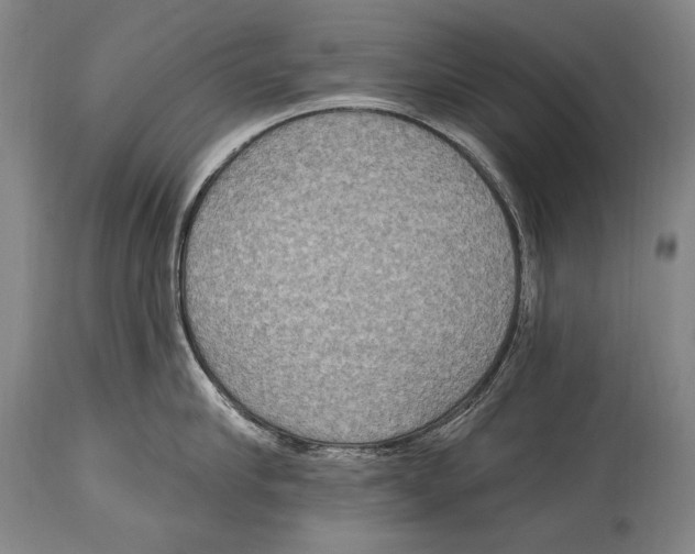 X0000115070910200911171127