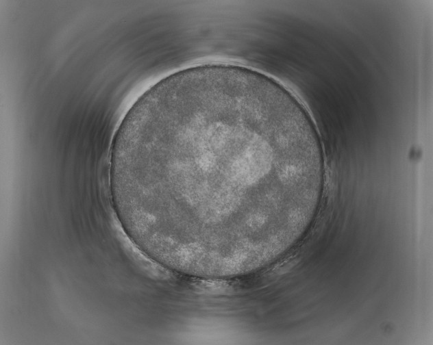 X0000115070911200911171127