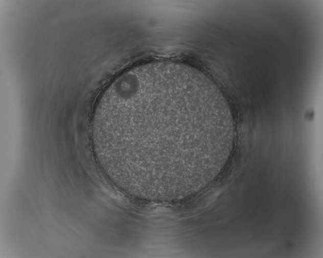 X0000115070913200911171127
