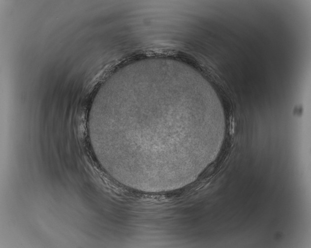 X0000115070915200911171127