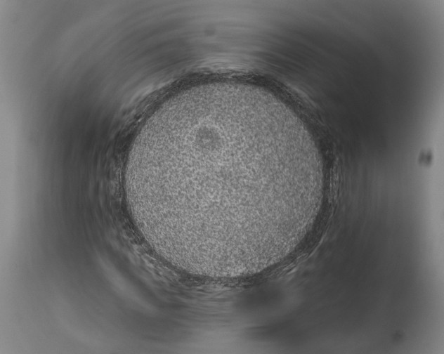 X0000115070917200911171127