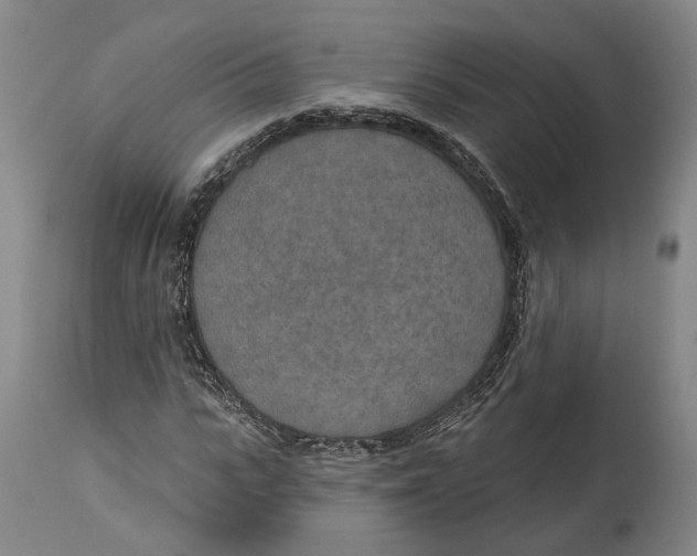 X0000115070919200911171127
